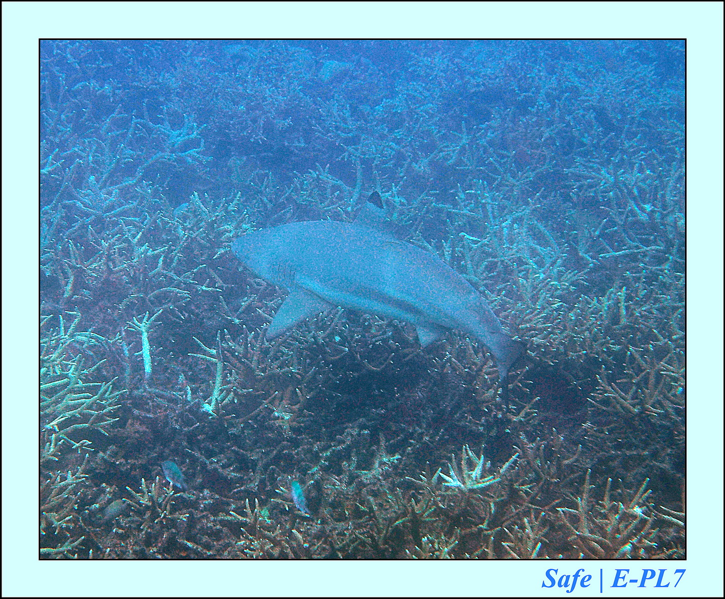 2015   07   Peranthian Islands 52